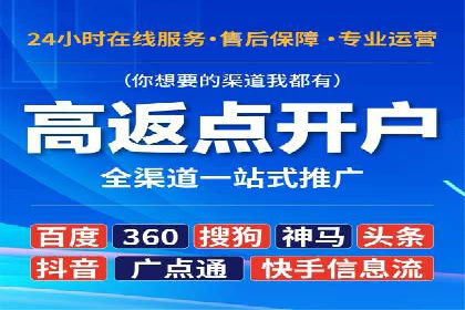 行业领先企业的网络推广与竞价经验